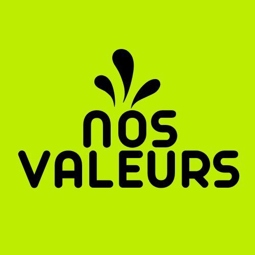 Les valeurs de Pies Maroc